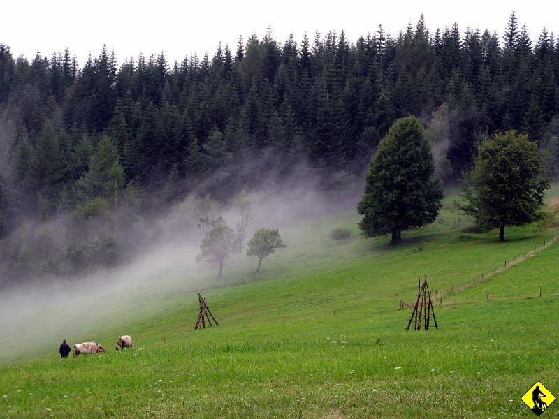 foto 155.jpg - Wypadamy na malowniczej polanie, przez którą przetacza się mgła....